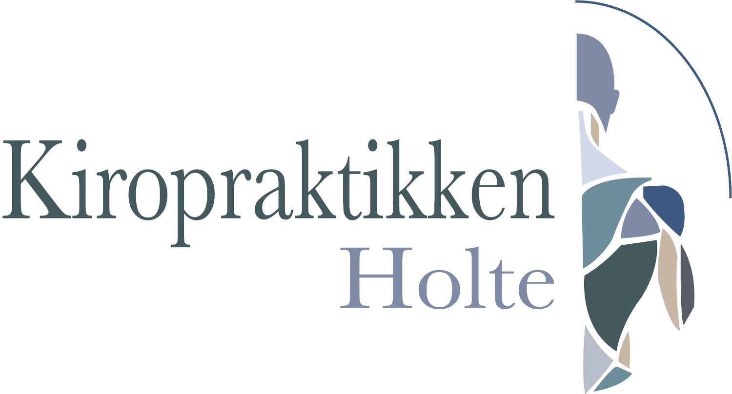 Kiropraktikken Lasse Salling Baundal og Sander Due Shafer
